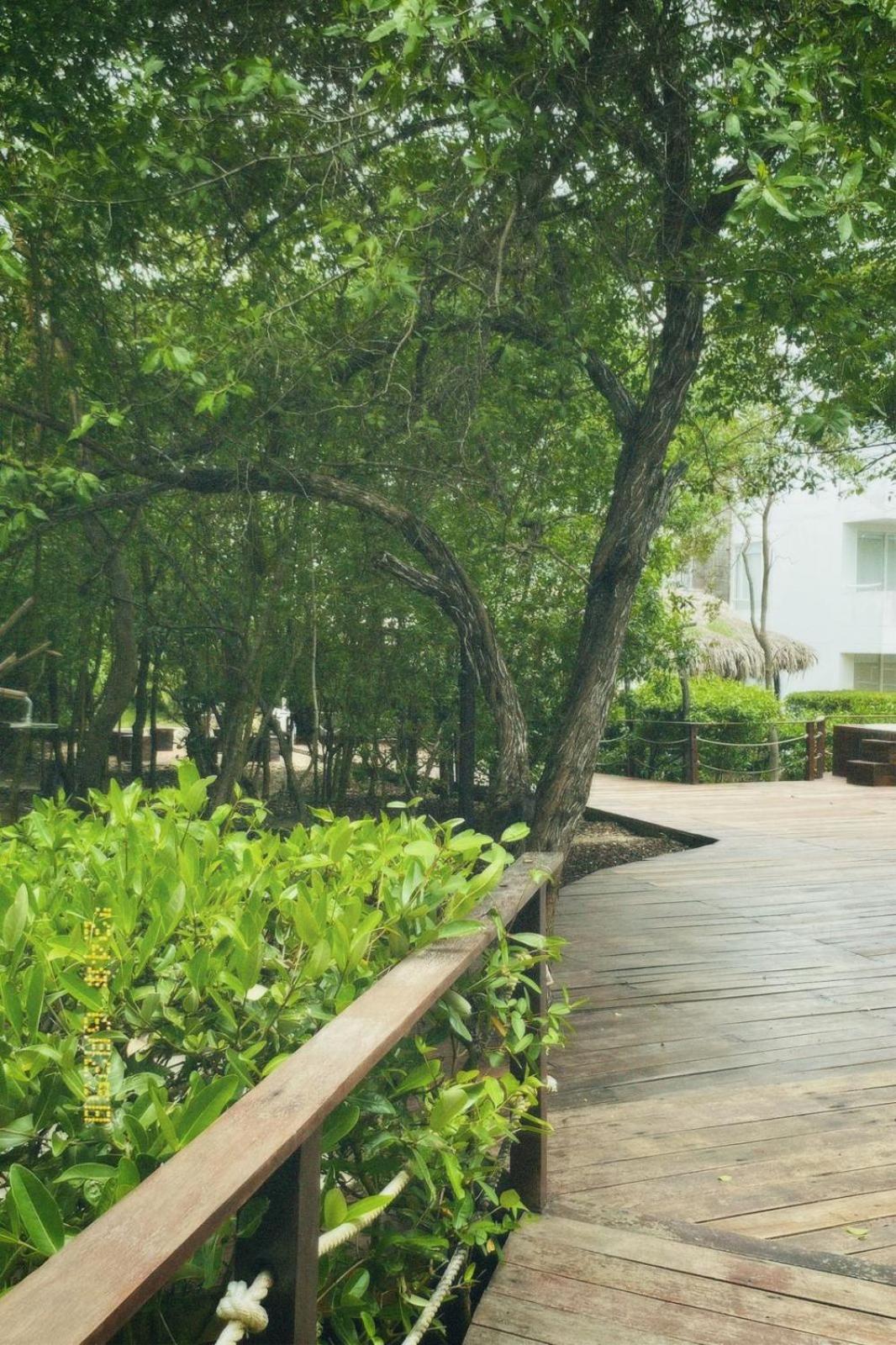 Santo Manglar Cartagena Life Wellness Spa Hotel Buitenkant foto